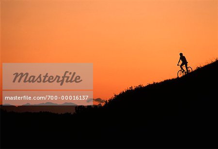 Silhouette of Person Cycling at Sunset