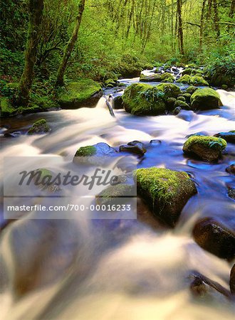 Cours d'eau du fleuve Columbia Gorge Oregon, USA