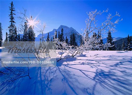 Banff-Nationalpark, im Winter von Alberta, Kanada
