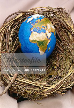 Egg Globe in Nest Europe and Africa