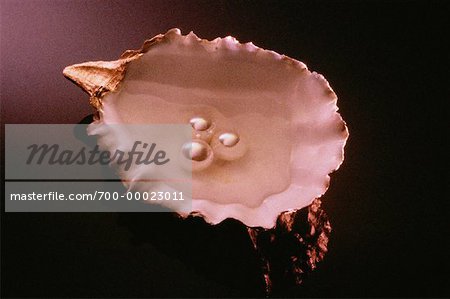 Coquille d'huître avec l'eau et des perles