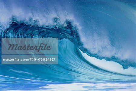 Rive-nord de vagues, Hawaii, USA