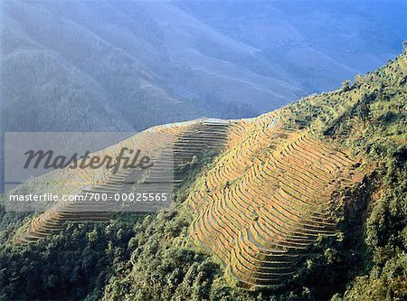 Übersicht über terrassierte Reisfelder außerhalb Longshan, China