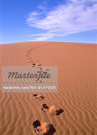 Footprints in Sand Merzouga Dunes, Morocco