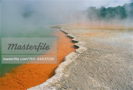 Waiotaupo thermique des environs de Rotorua, Nouvelle-Zélande North Island