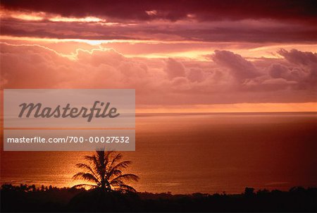 South Kent Coast at Sunset Island of Hawaii, Hawaii, USA