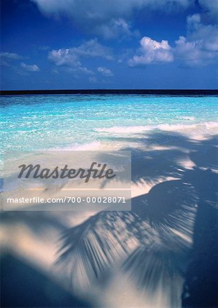 Shadows of Palm Trees on Beach Maldive Islands, Indian Ocean