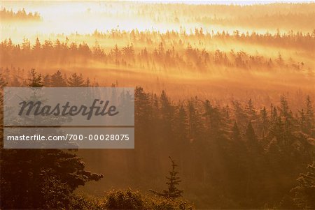 Brouillard au lever du soleil près de Freeport, Long Island, Nova Scotia, Canada