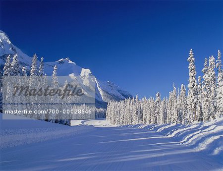 Bergstrasse Winter Kananaskis Country, Alberta Kanada