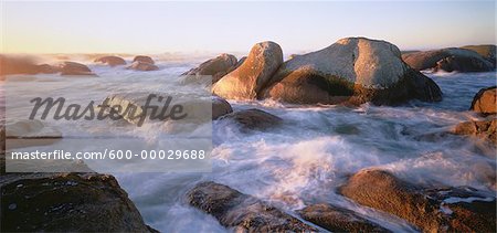 Cape Columbine, Western Cape, South Africa