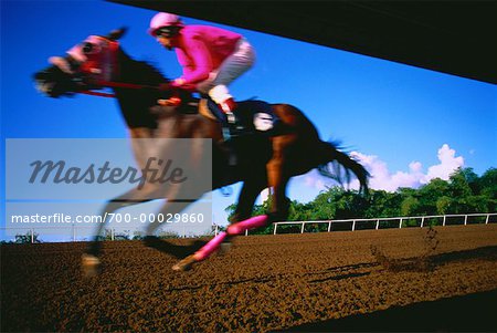 Blurred View of Horse Racing