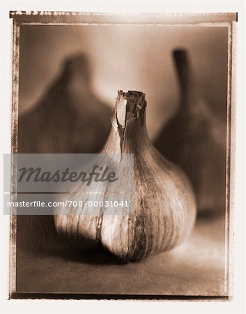 Close-Up of Garlic