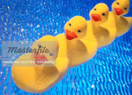 Rubber Ducks in Row on Water