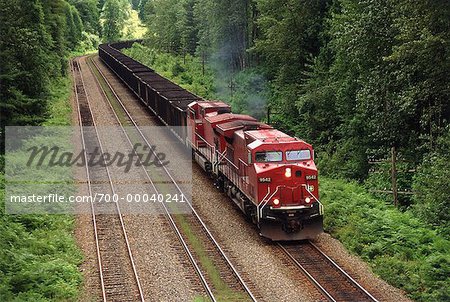 Train near Revelstoke British Columbia, Canada
