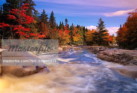 Halfway Brook en automne Cape Breton Highlands National Park, Nova Scotia, Canada