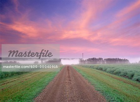 Chemin de terre à la tombée de la nuit près de Leduc, Alberta, Canada