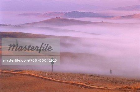Zypressen und Nebel im Morgengrauen in der Nähe von Pienza, Toskana, Italien