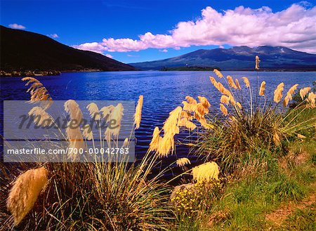 Tongariro National Park Lake Rotoaira, North Island New Zealand