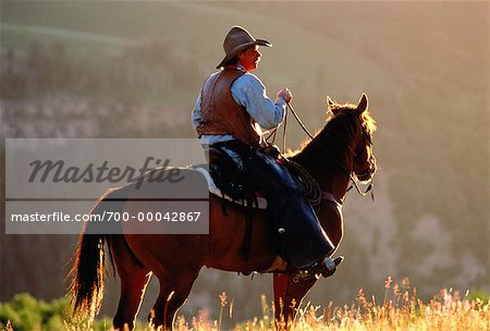 Cowboy Riding Horse