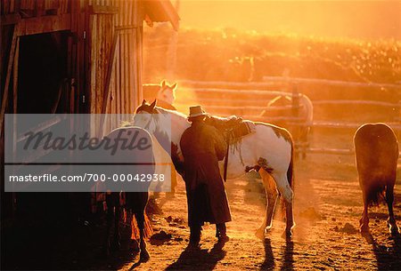 Cowboy at Stable at Sunset