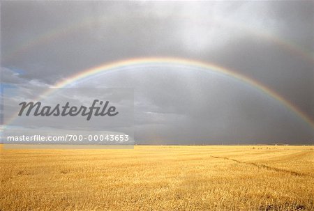 Regenbogen und Wolken über Feld Manitoba, Kanada
