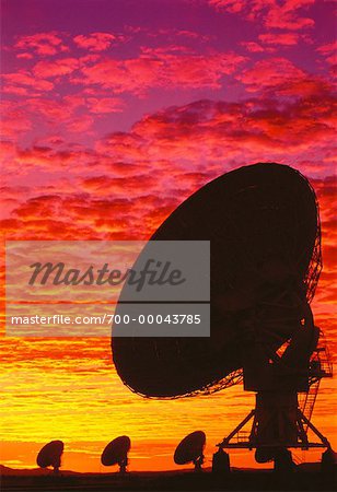 Radio Telescopes at Sunset