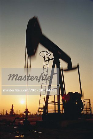 Pump Jacks in Oil Field at Sunset