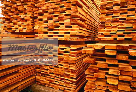Coupés et empilés bois, cèdre de l'Ouest, Revelstoke en Colombie-Britannique, Canada