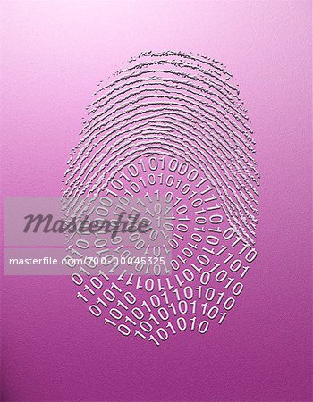 Fingerprint and Binary Code