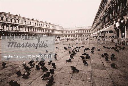 Pigeons Sur Le Trottoir Dans La Place Saint Marc Pluie Venise Italie Photographie De Stock Masterfile Rights Managed Artiste Pierre Arsenault Code 700