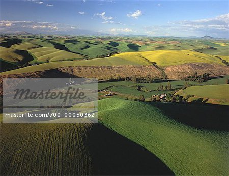 Aerial View of Palouse Hills Colfax, Washington, USA