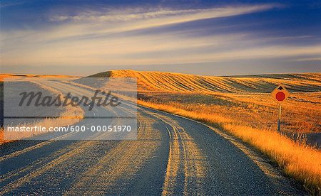 Route de campagne et le paysage de la Saskatchewan, Canada