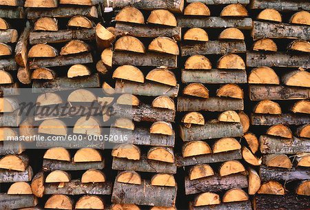 Cut and Stacked Firewood