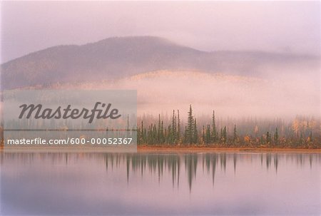 Fog over Trees and Mountains Tetlin National Wildlife Refuge Alaska, USA