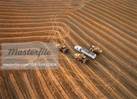 Aerial View of Combining Wheat Elie, Manitoba, Canada