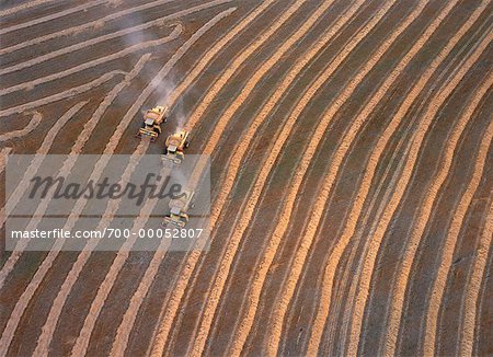 Aerial View of Combining Wheat Elie, Manitoba, Canada