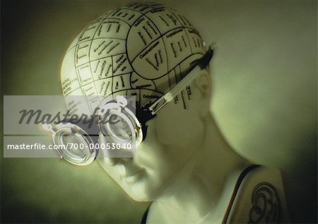 Mannequin Head with Phrenology Diagram And Optical Test Glasses