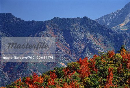 Mountains and Trees in Autumn Utah, USA
