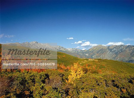 Übersicht über Bäume und Berge im Herbst Utah, USA