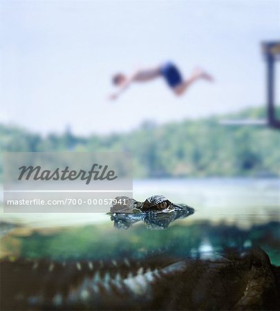 Boy Diving into Water near Crocodile