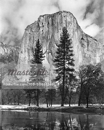 Trees, Lake and El Capitan Yosemite National Park California, USA