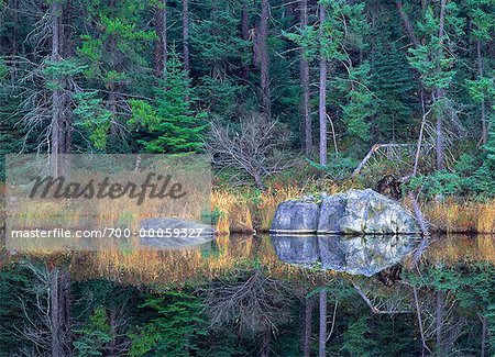 Reflexionen der Felsen und Bäume am See, in der Nähe von Kenora, Ontario Kanada