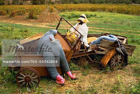 Scarecrows in Crashed Antique Car The Barossa Valley South Australia, Australia