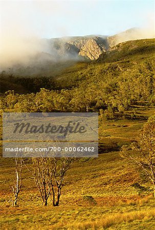 Vue d'ensemble du paysage et les arbres avec brouillard, Cradle Mountain, lac Dove, Tasmania, Australie
