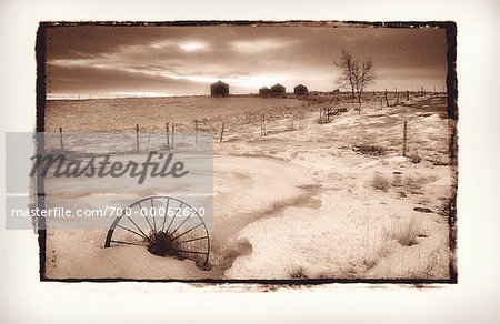View of Landscape with Fence and Barns in Winter, Hand Hills Alberta, Canada