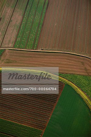 Vue aérienne des terres agricoles Morpeth, Nouvelle Galles du Sud Australie