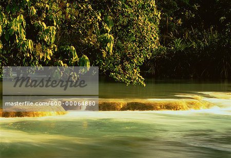 Trees and River, Agua Azul, Agua Azul National Park, Chiapas, Mexico