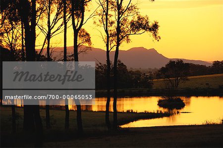 Wandin Valley Estate Winery au coucher du soleil, Lovedale, NSW, Australie