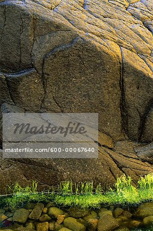 Stones, Seaweed and Cliff Face on Brier Island, Bay of Fundy, Nova Scotia, Canada
