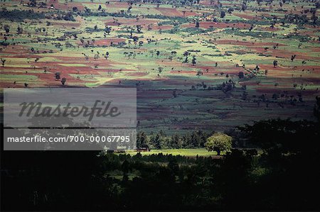 Überblick über Landschaft und Bäume-Äthiopien